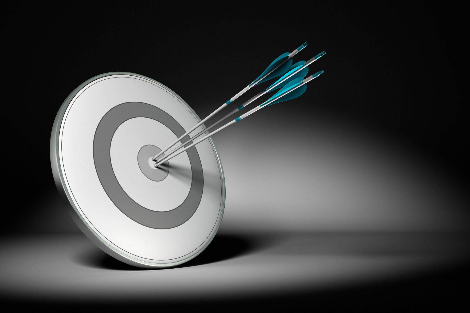 IT Service Delivery for Business Objectives